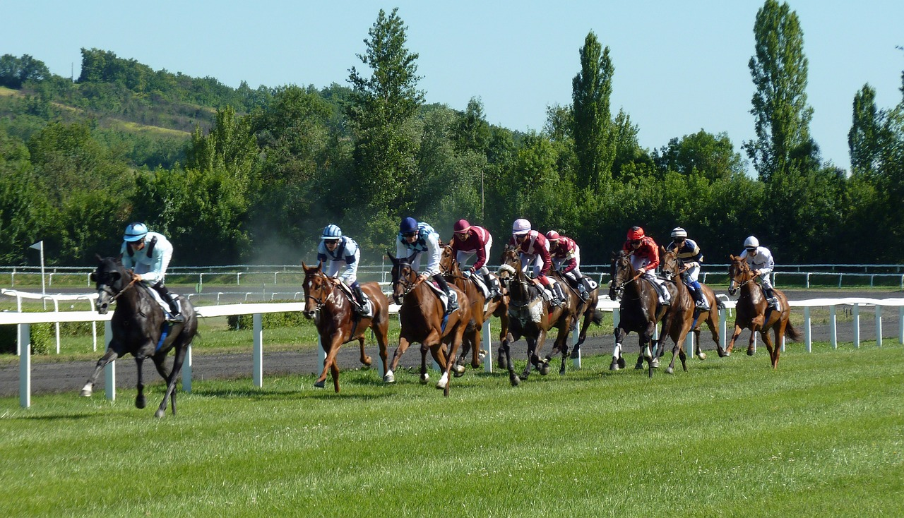 2024 Derby Prep Race Leader: Getting To Know Timberlake