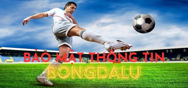 Bongdalu chức năng đáng tin cậy cho người yêu thể thao trên 90P TV-3