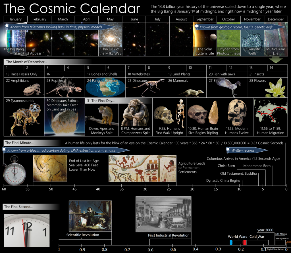 The Cosmic Calendar. Source: Wikimedia Commons