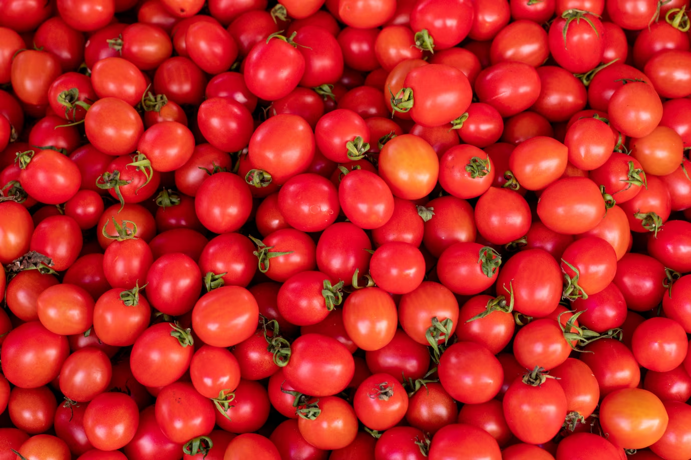 Pomodori - utilizzi