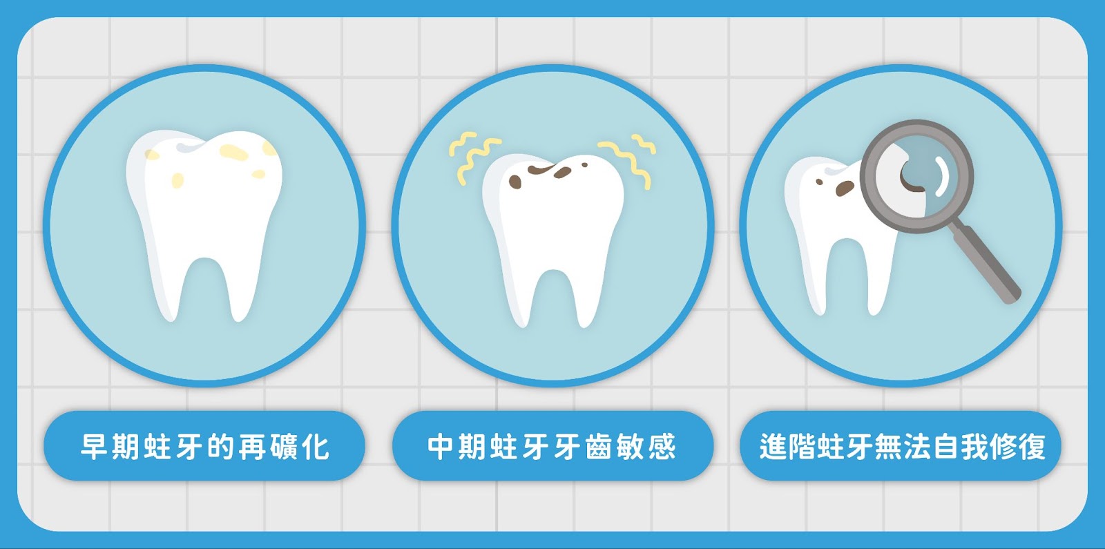 牙齒具有一定的自我修復能力，稱為再礦化。這是一種自然過程