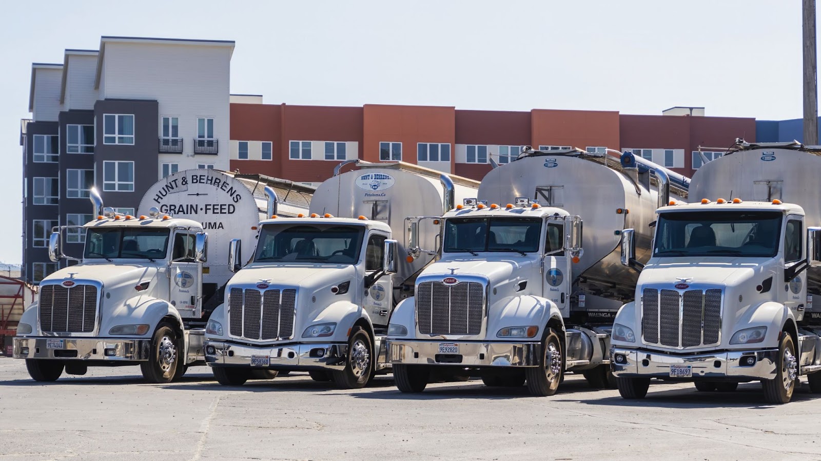 A fleet of four white Peterbilt semi-trucks