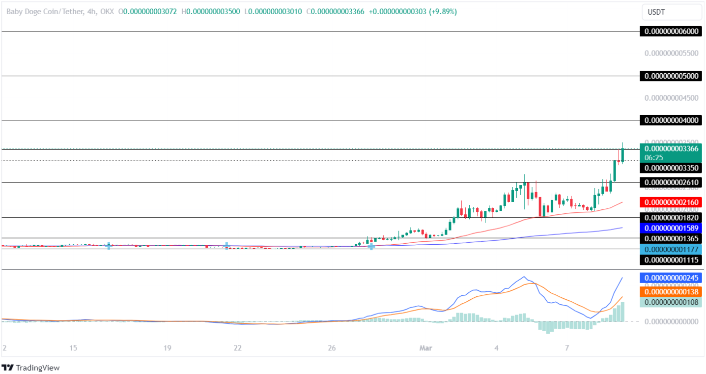 Baby Doge Coin Price Analysis