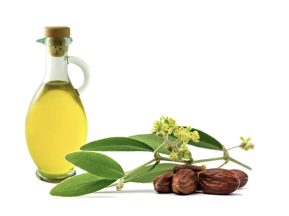 Tinh dầu jojoba