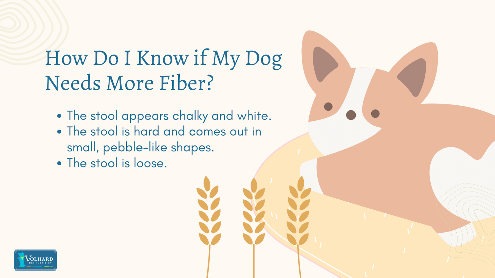 Does my dog need fiber