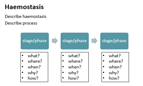 Process diagram
