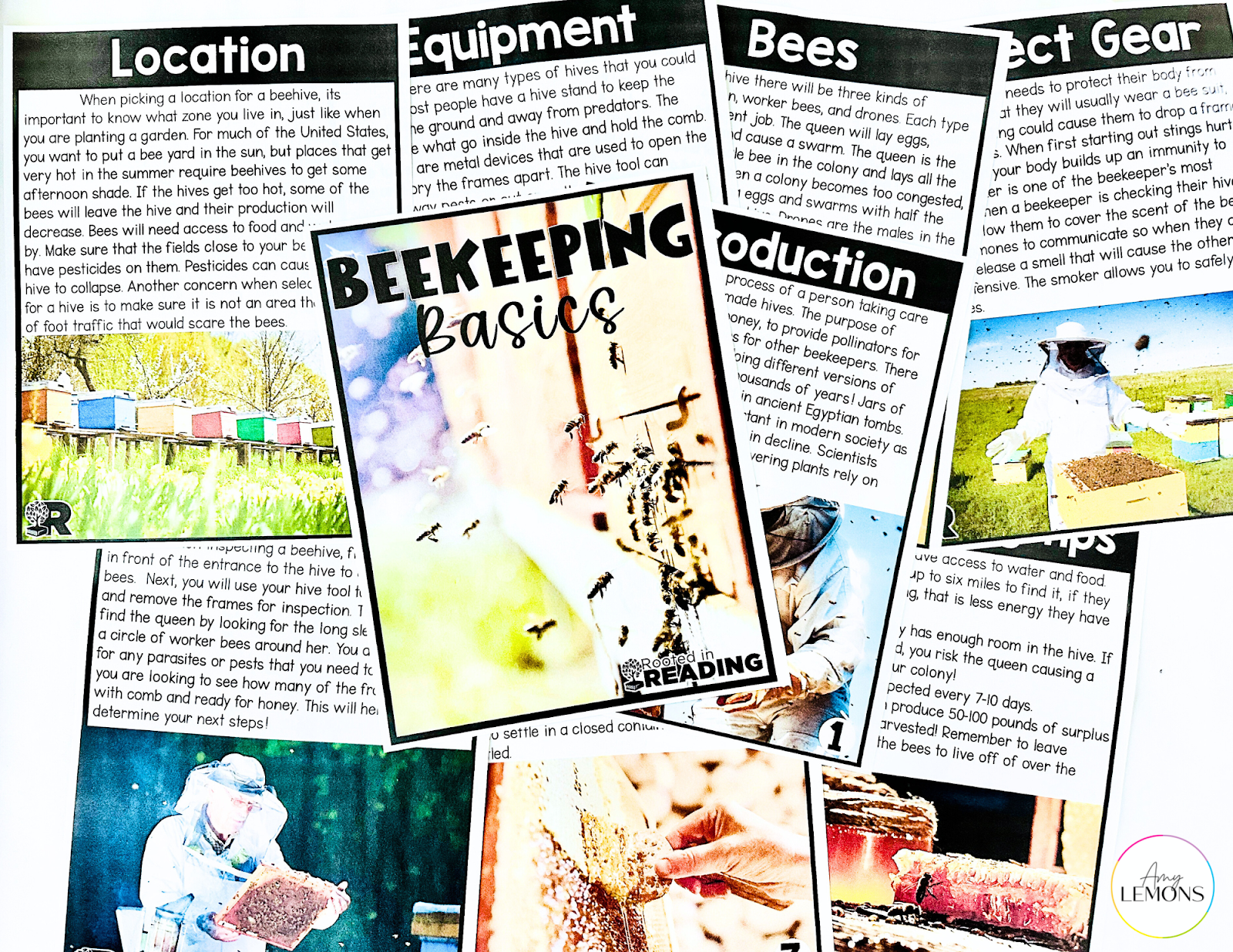 Beekeeping Informational Text to use with bee research activities