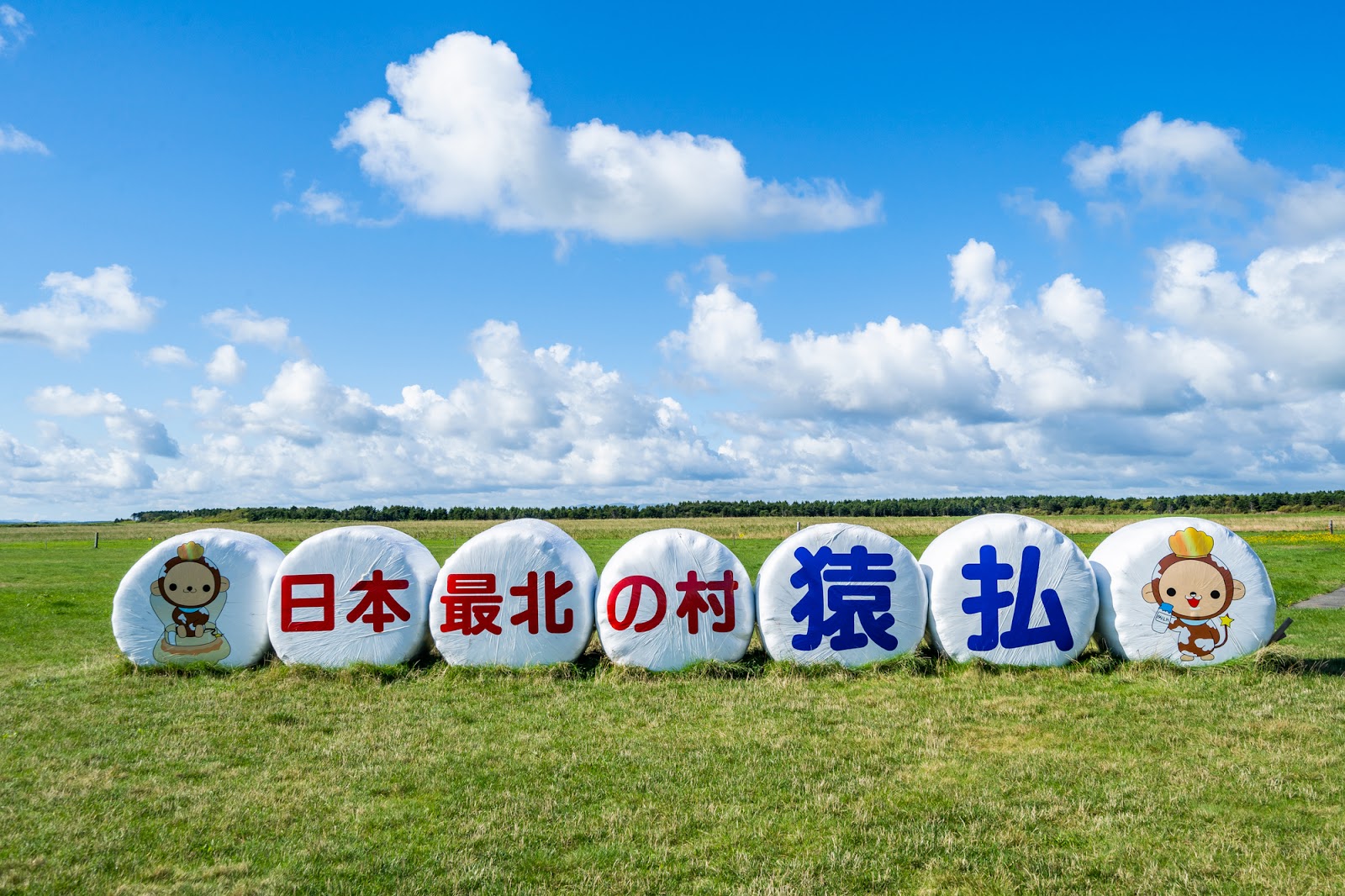 4.天然ホタテを思う存分味わう｜さるふつまるごと館