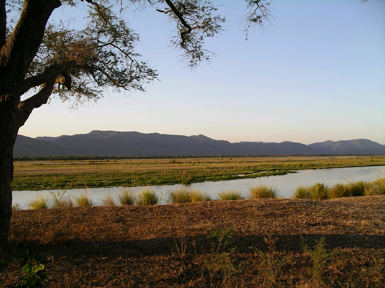 Mana Pools part of Southern African Safaris