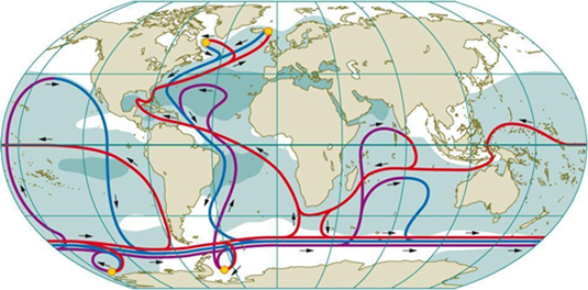 Great ocean currents « World Ocean Review