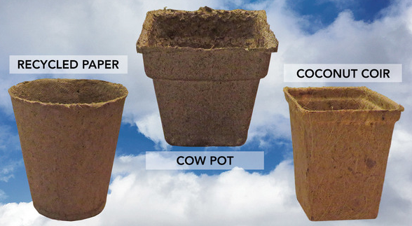 Biodegradable Pots for Plants