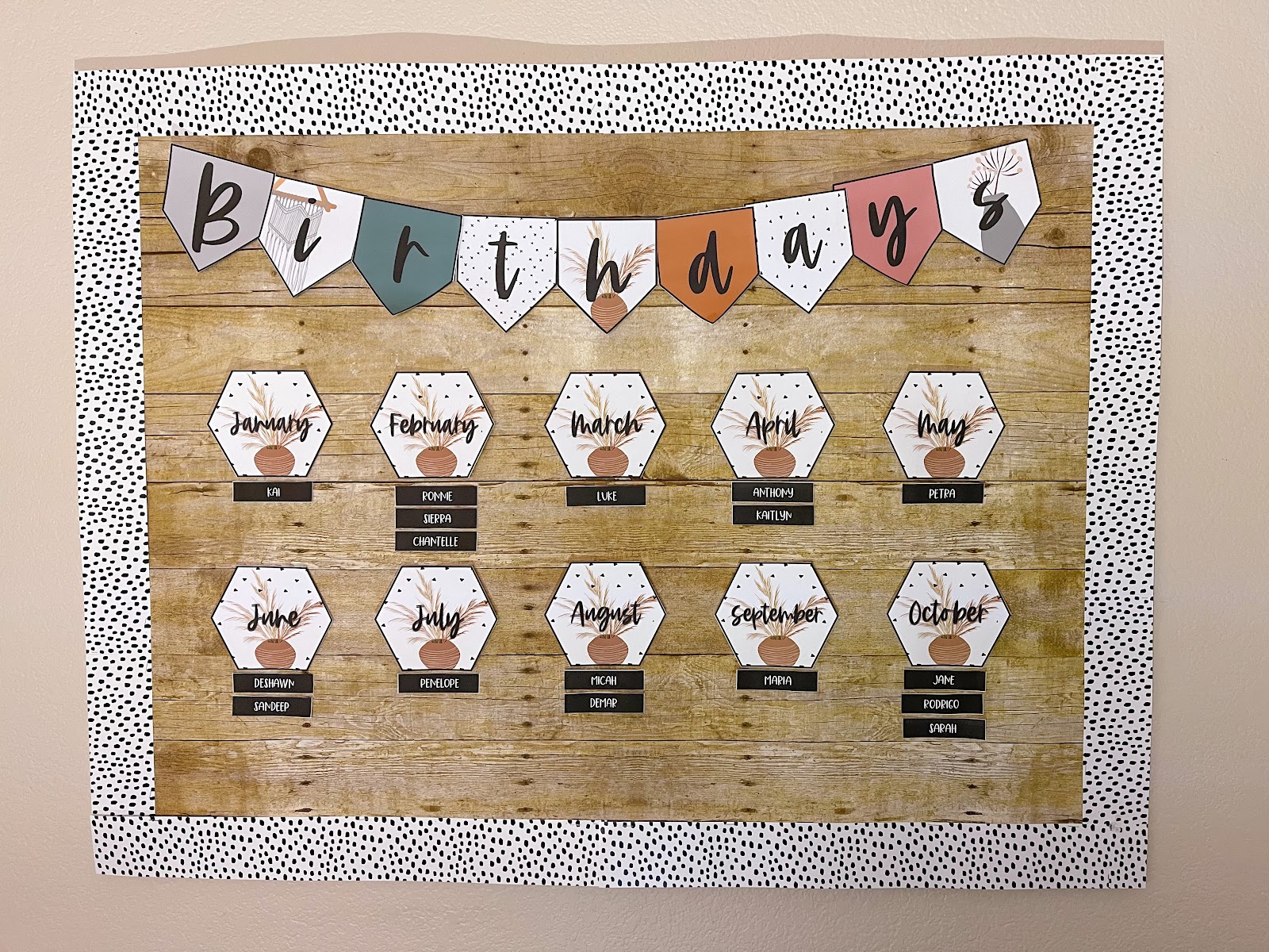 This image shows a bulletin board display with a heading reading "Birthdays". There is a card for each month of the year with smaller cards for student names underneath. The month cards are decorated with a neutral colored potted plant. 