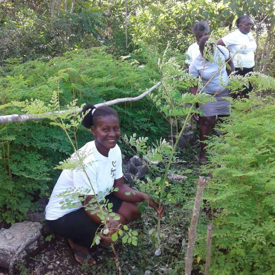 Aspiration x veritree - A Deep Dive Into Our First Tree Planting Projects