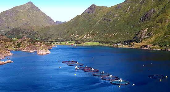 Lofoten Seafood Center