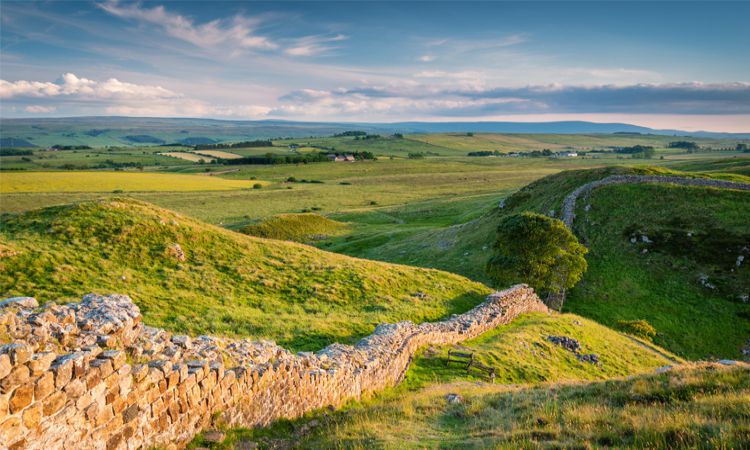 Adventure Unleashed Road Trips