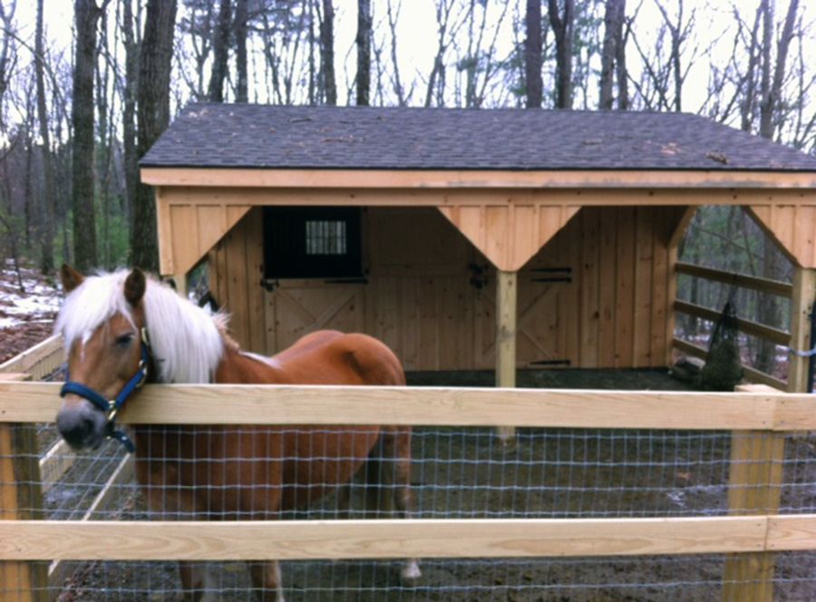 Shelters For Miniature Horses