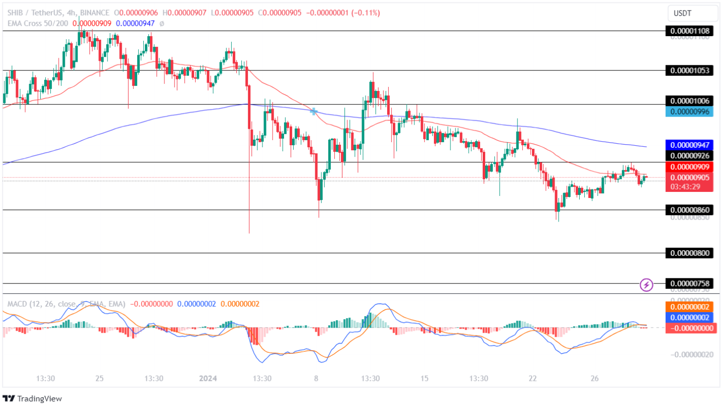 Shiba Inu Price Analysis