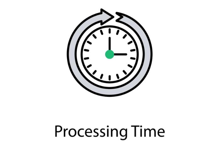 Vietnam E-visa for India citizens - processing time