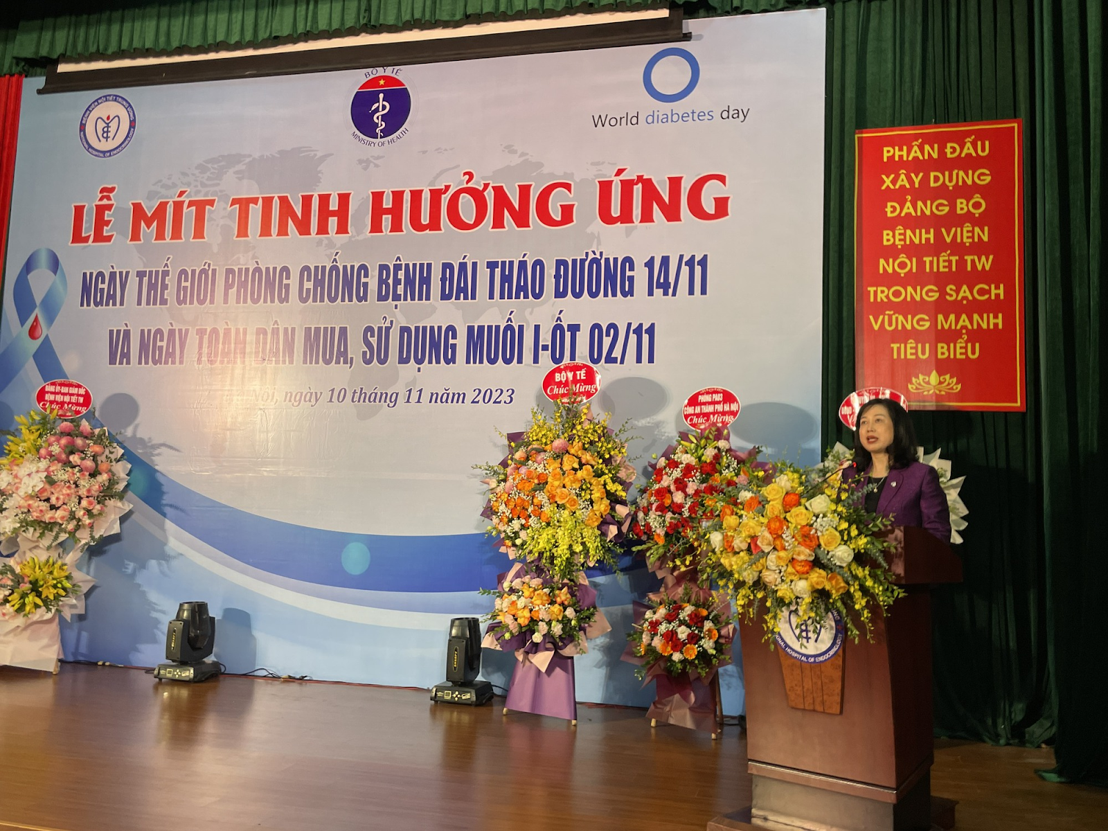 Bộ trưởng Bộ Y tế Đào Hồng Lan phát biểu tại Lễ mít tinh kỷ niệm Ngày Đái tháo đường Thế giới. (Nguồn: Báo Ấp Bắc)