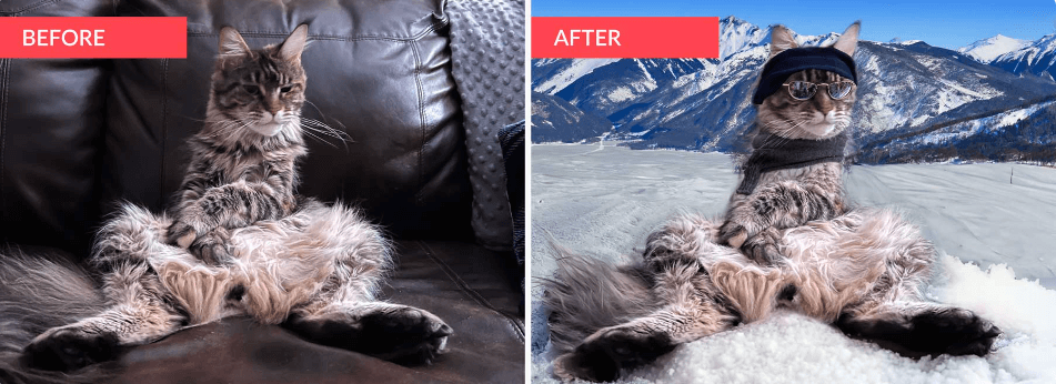 image of a cat showing before and after usage of photoshop ai generative fill