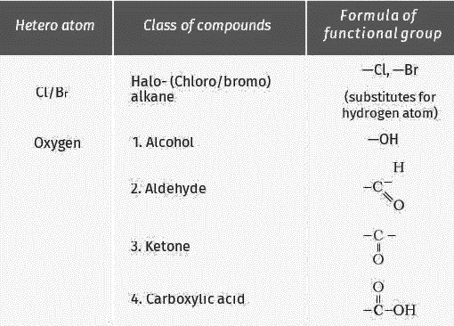 Logical Class | Home