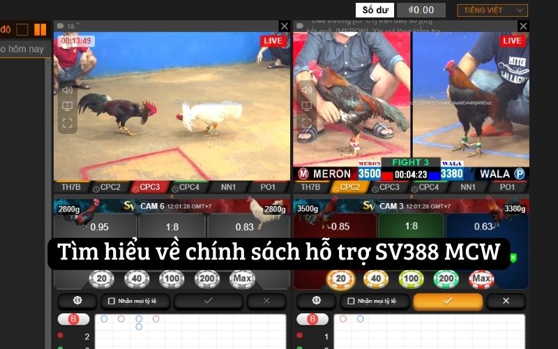 Tìm hiểu về chính sách hỗ trợ SV388 MCW 