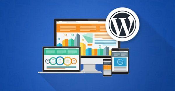 Custom WordPress Development - Plugins