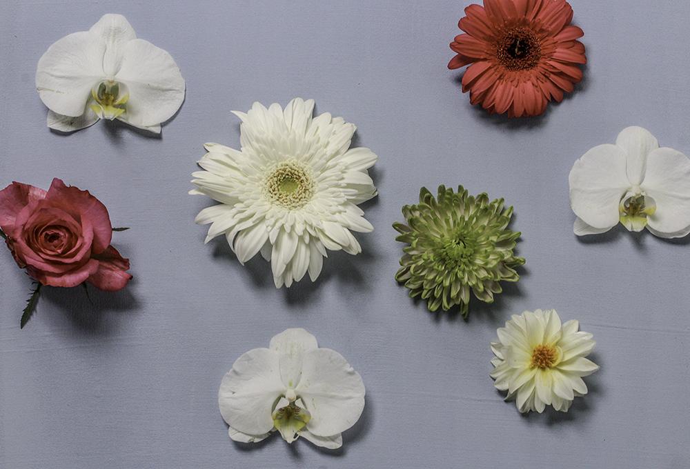 A selection of focal flowers 