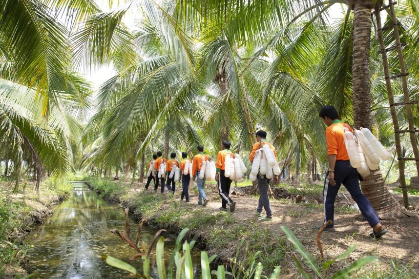 Những người thợ đi thu mật hoa dừa. Ảnh do Sokfarm cung cấp ngày 20/01/2024.