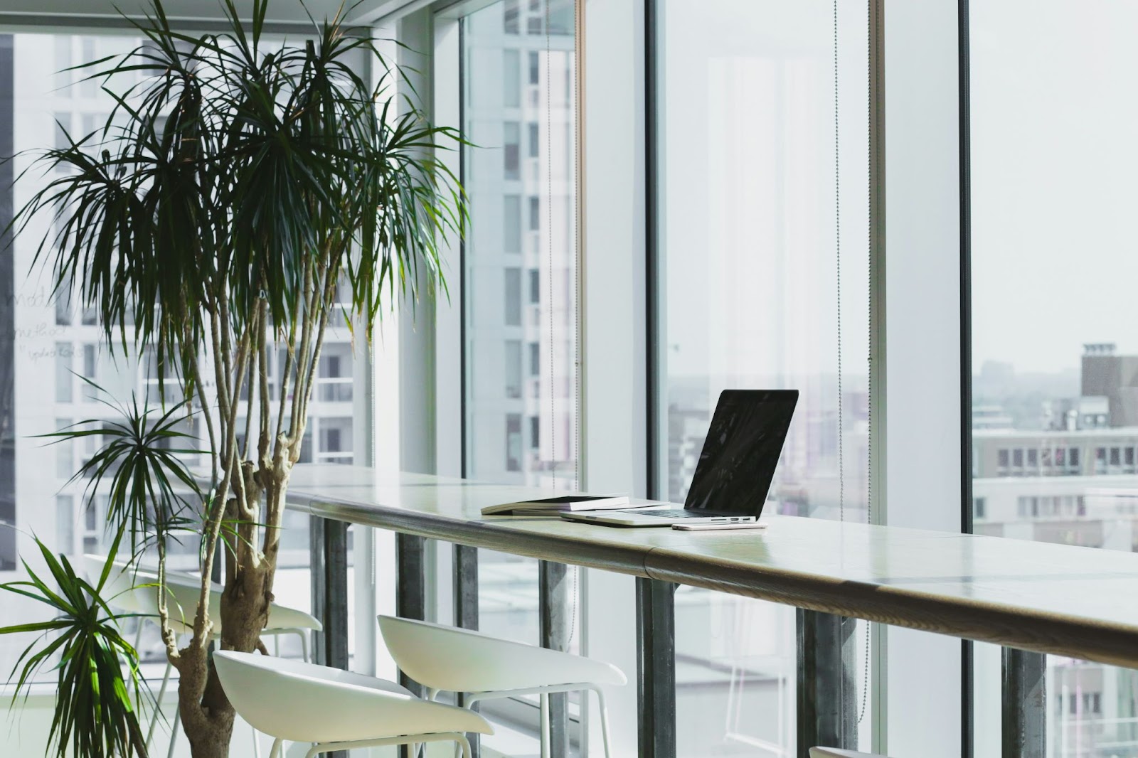 Laptop on a table along the glass windows of a high-rise office with a plant in the corner.

