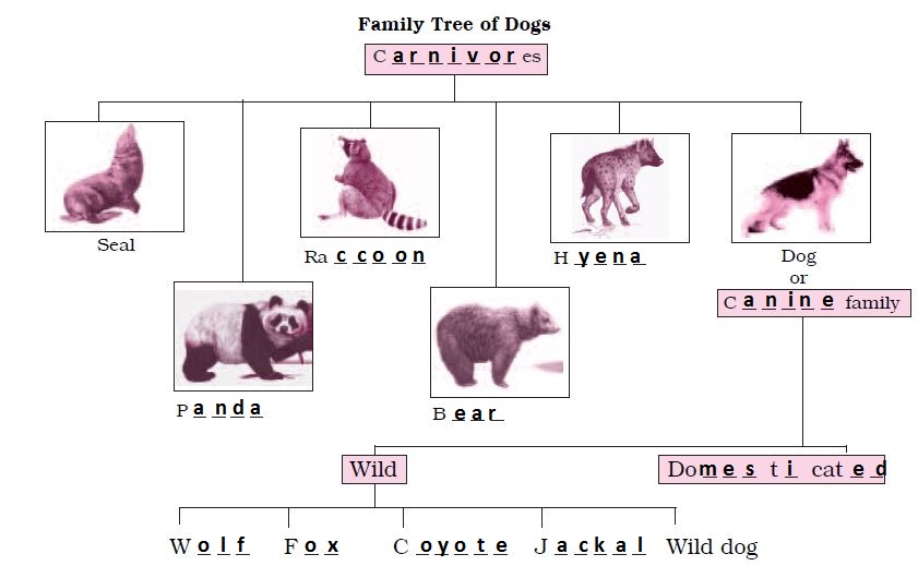 NCERT Solutions for Class 6 English Unit 2 How the Dog found himself a new master - 4