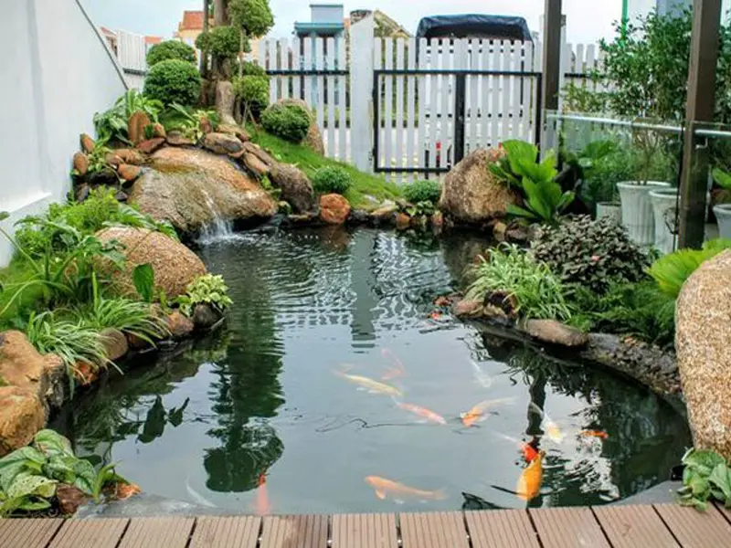 Tiểu cảnh sân vườn có hồ cá koi - Không gian sống xanh, đẹp và độc đáo năm 2023