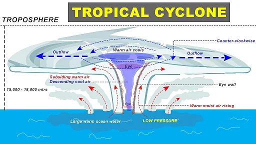 TROPICAL CYCLONE