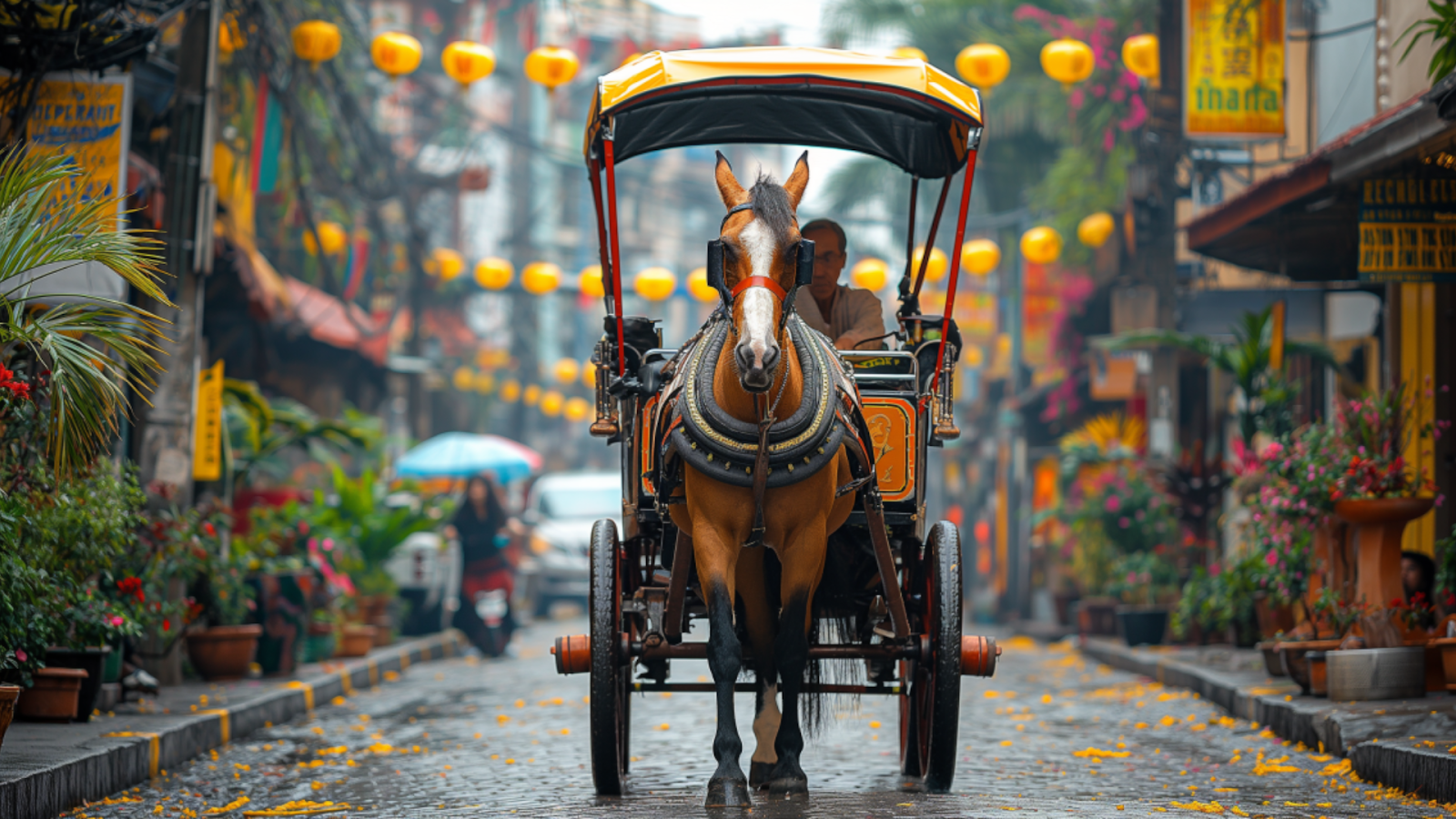 A traditional 'kalesa' ride through the cobbled streets of Manila.