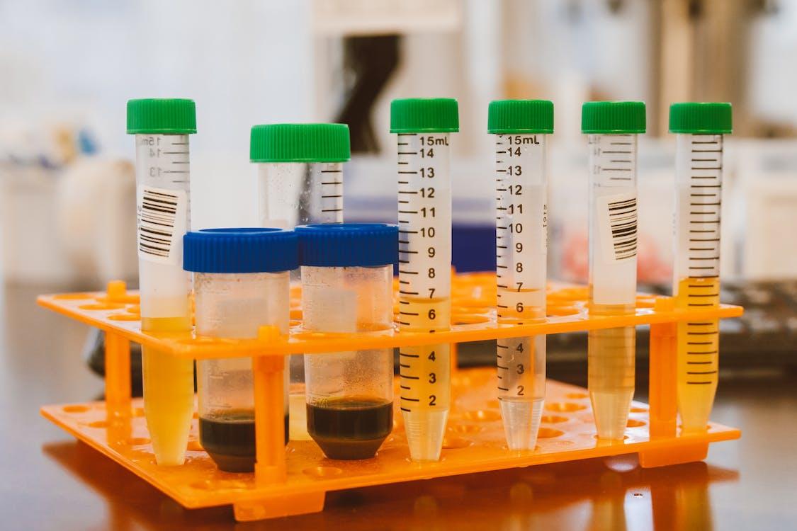 Free Test Tubes with Samples on a Rack Stock Photo
