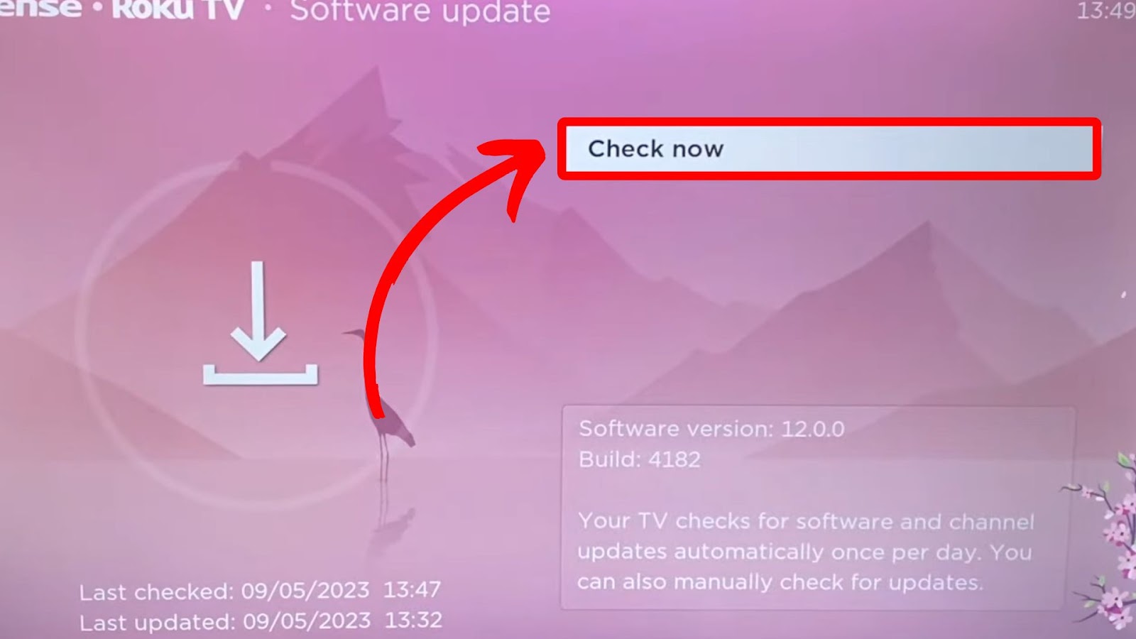 How to Update a Roku Device