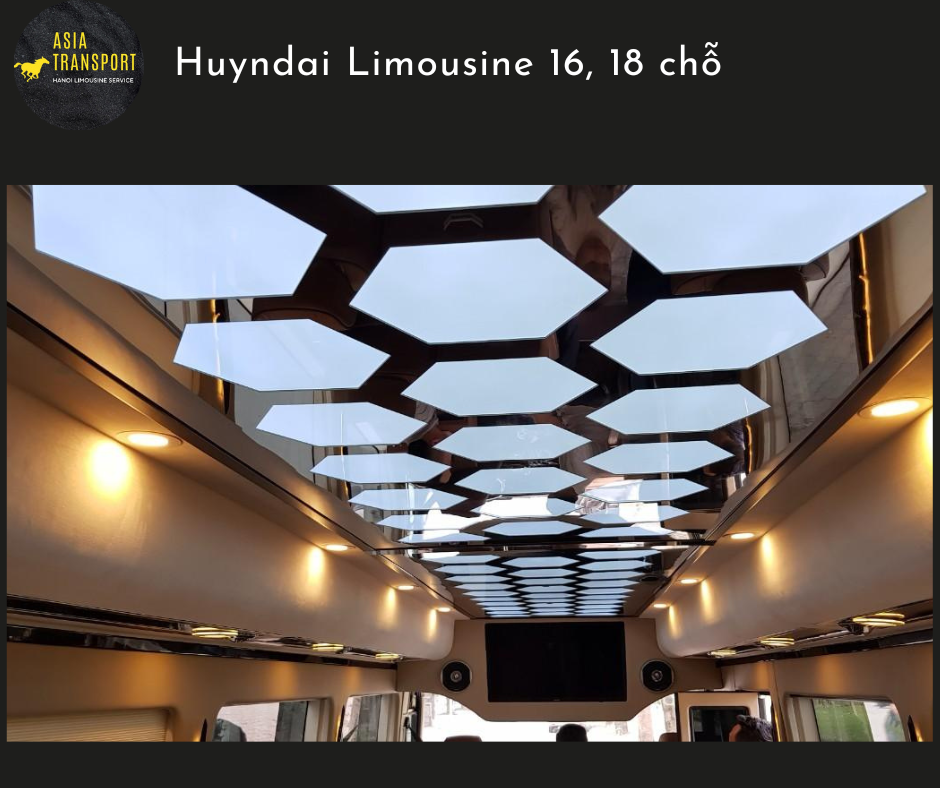 Huyndai county Limousine 16, 18 chỗ (8).png