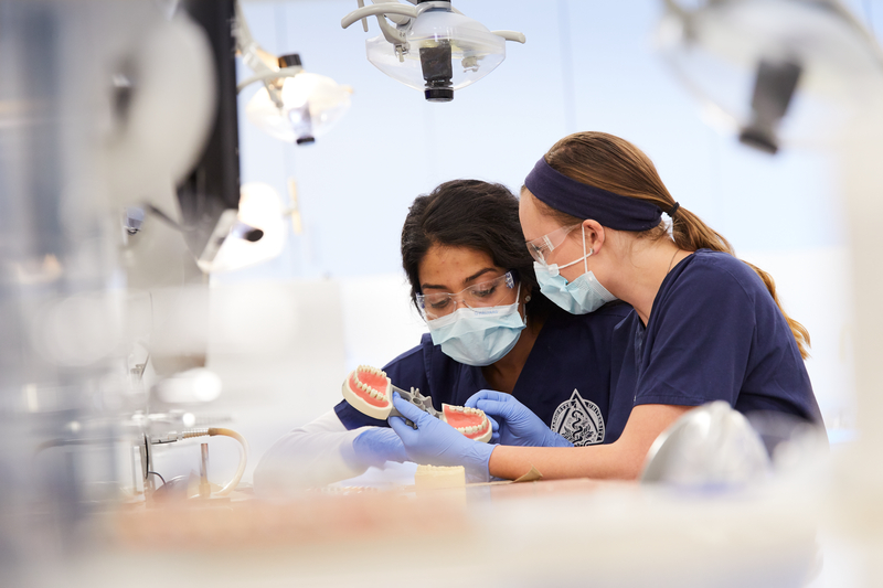 Oral Health Mastery

