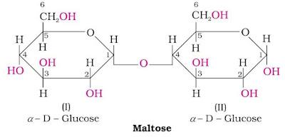 Biomolecules Chemistry Class 12 Notes