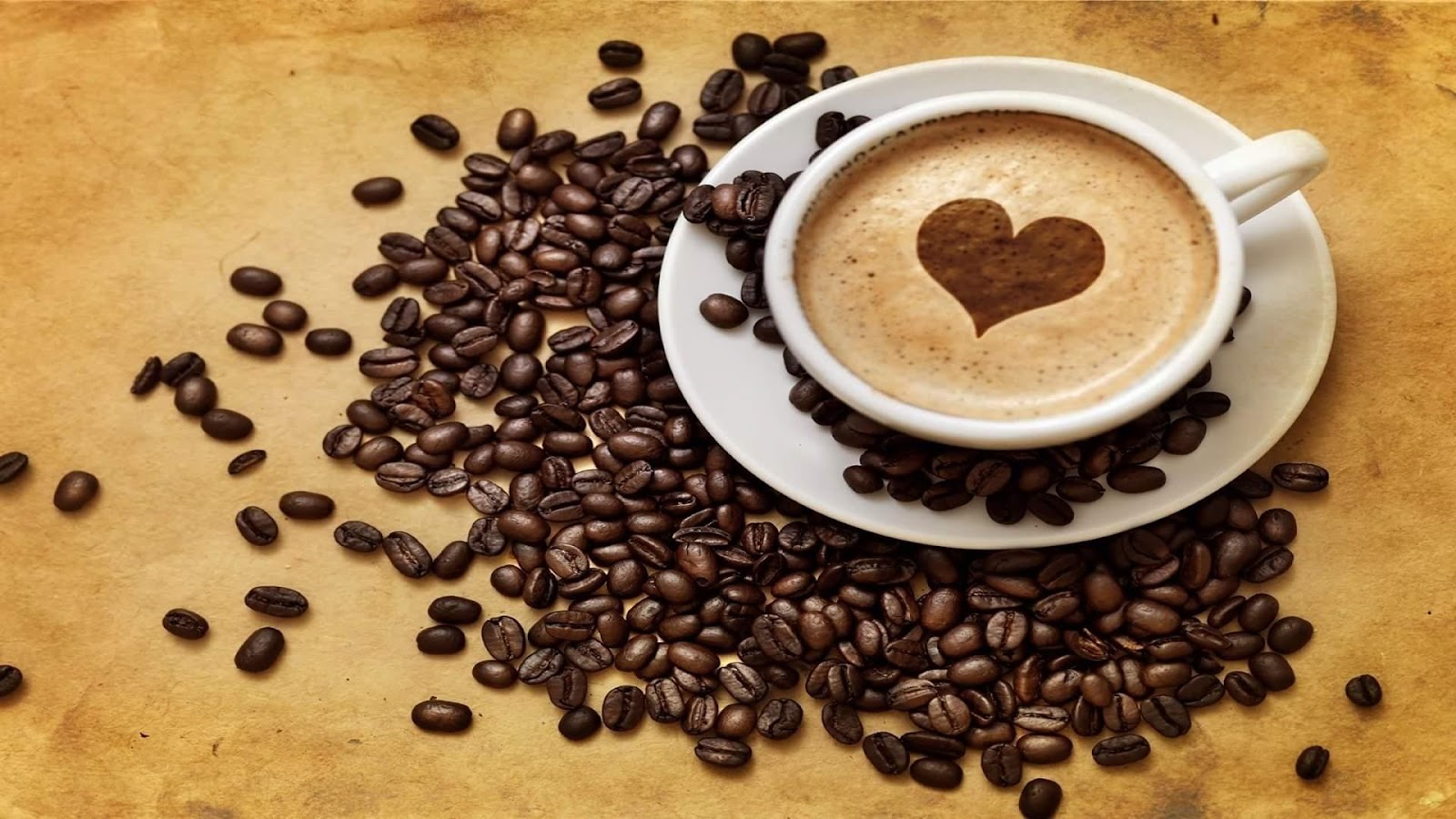 Coffee Lover (@Coffee__Lover_) / X