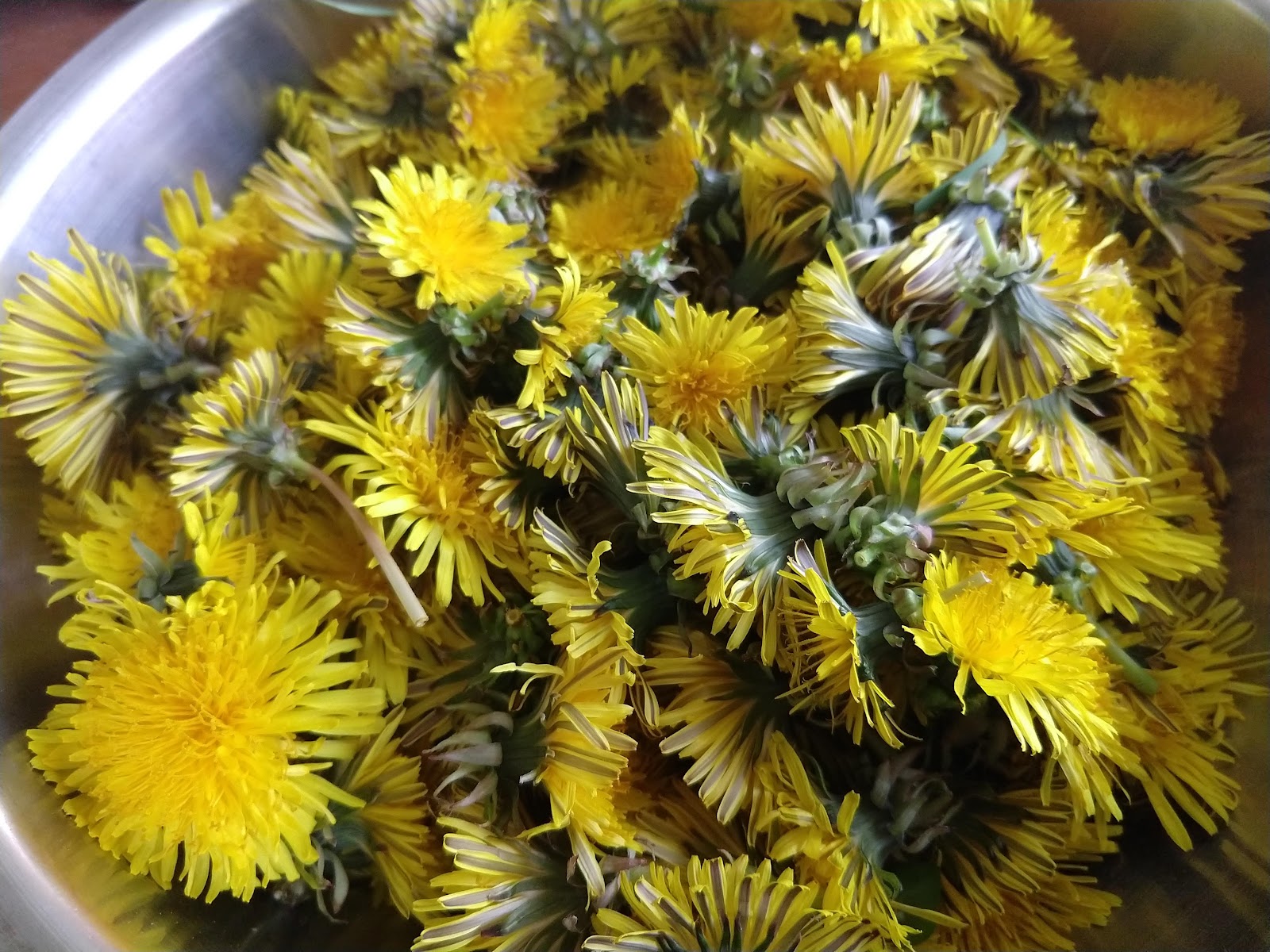 Bowl of Dandelions