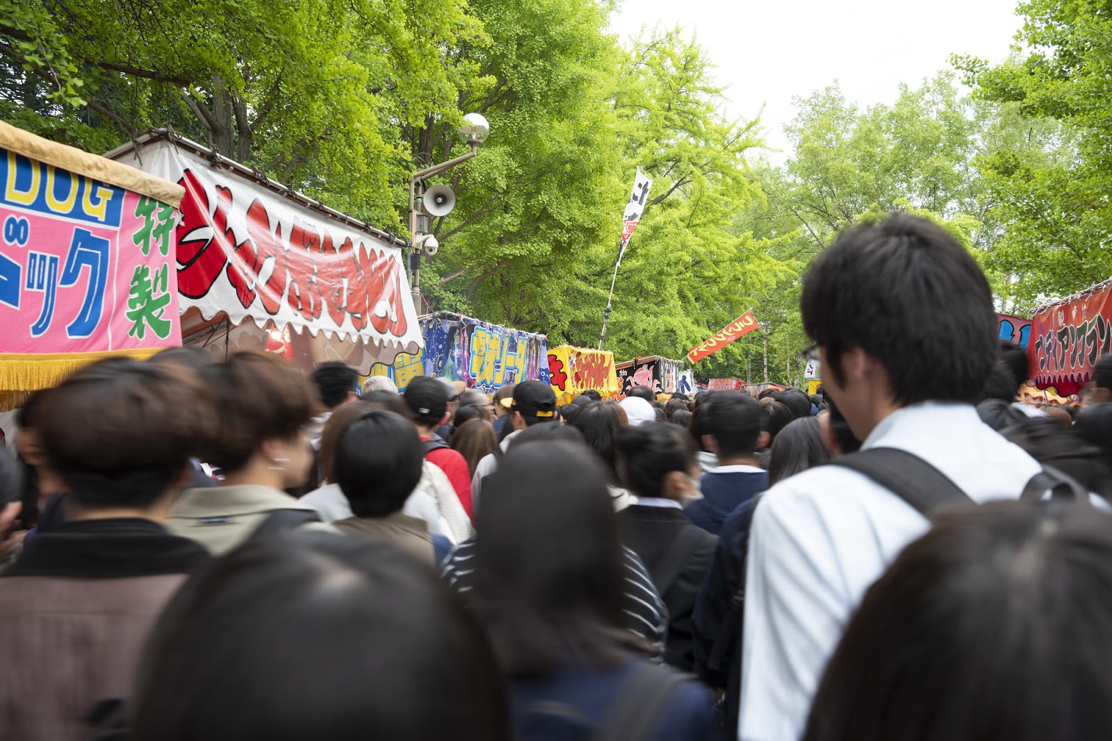 5.自然もイベントも楽しめる「中島公園」