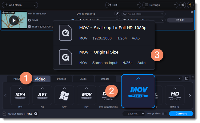 Various Formats for Your Output Videos for Movavi Screen Recorder