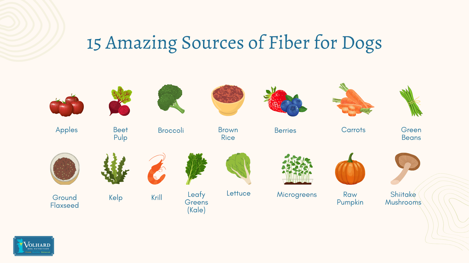 15 fiber sources for dogs