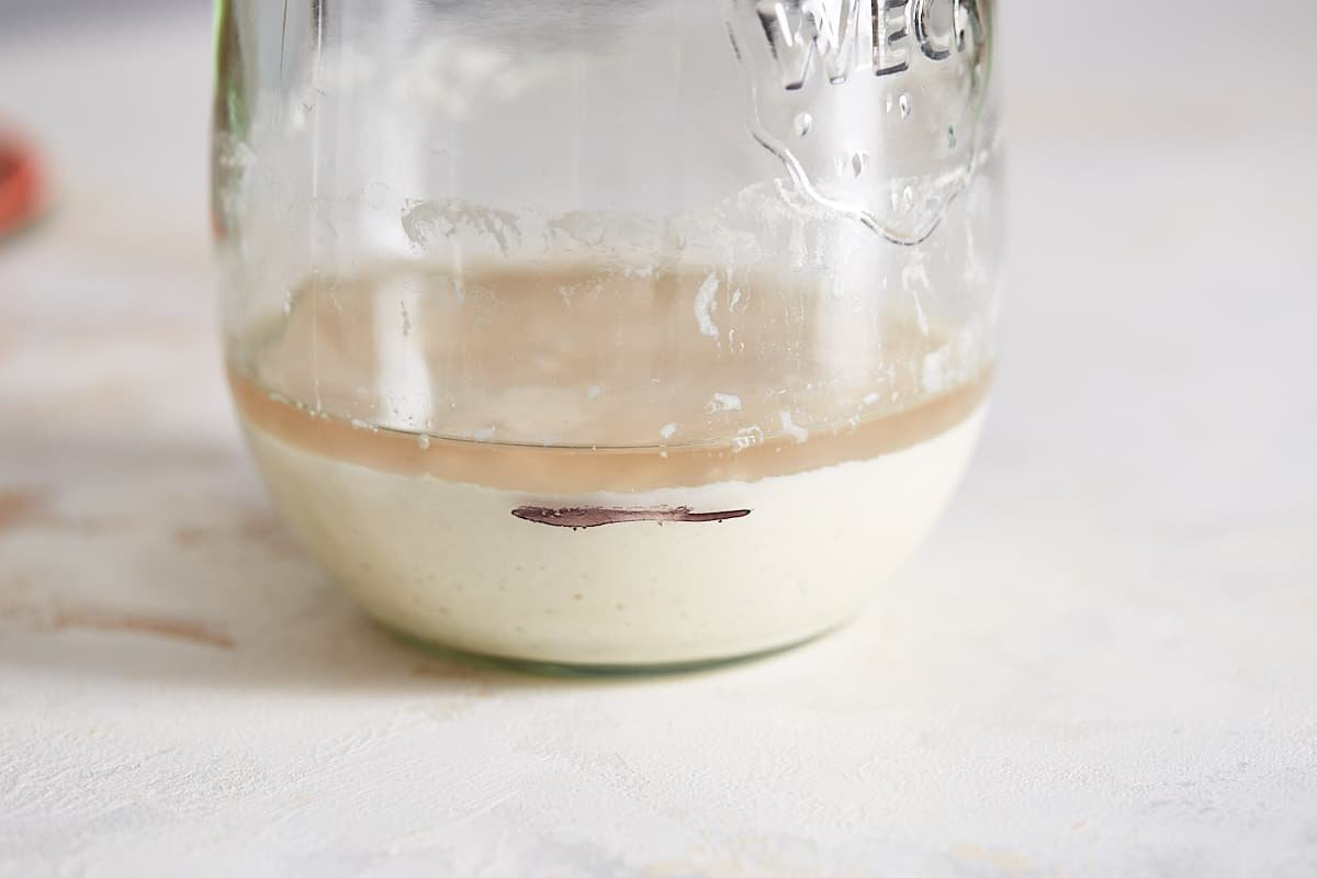 Top 10 Sourdough Starter Tips - sourdough hooch in starter