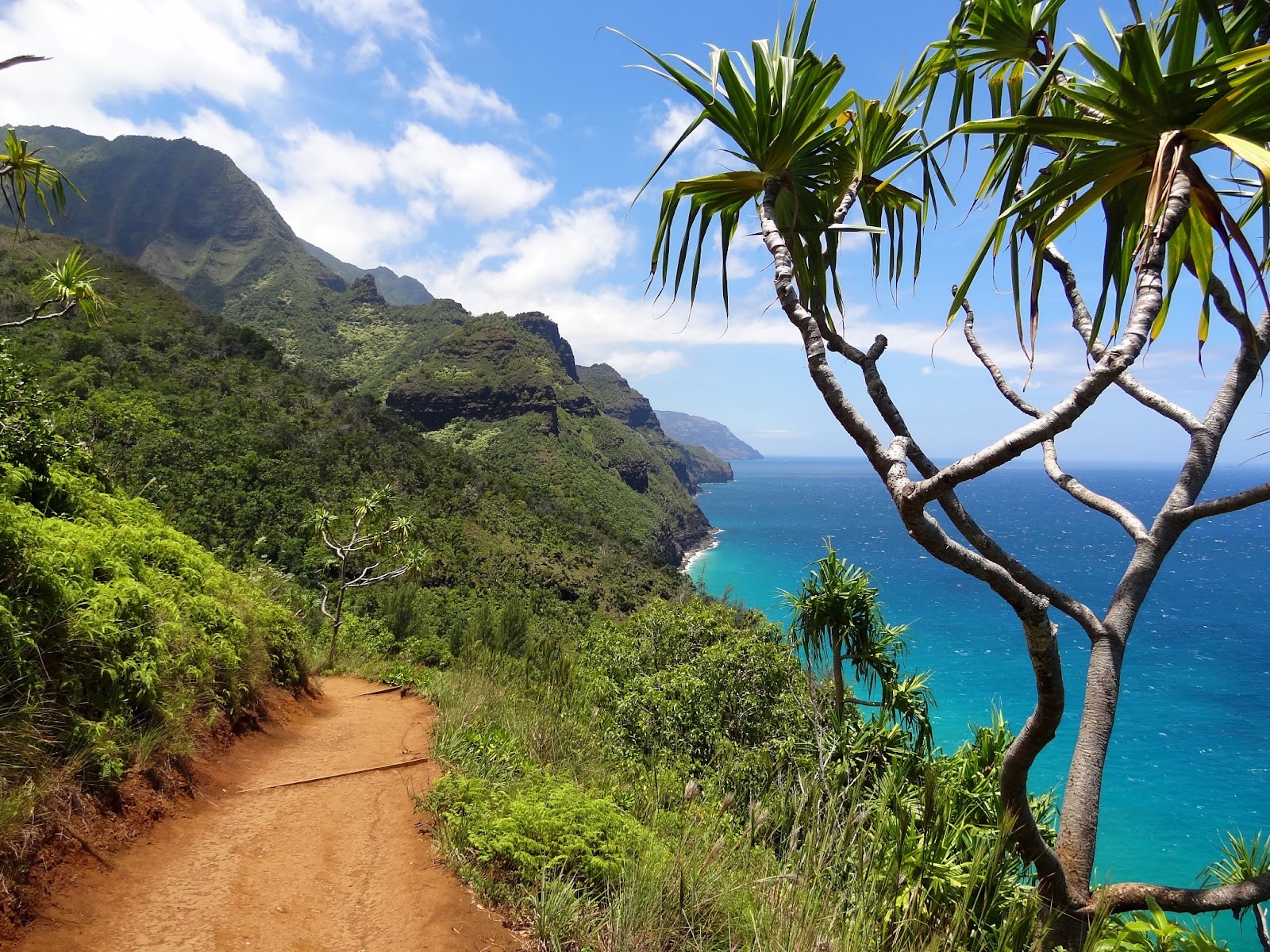 Adventurous horseback riding trail through Hawaii's scenic landscapes.