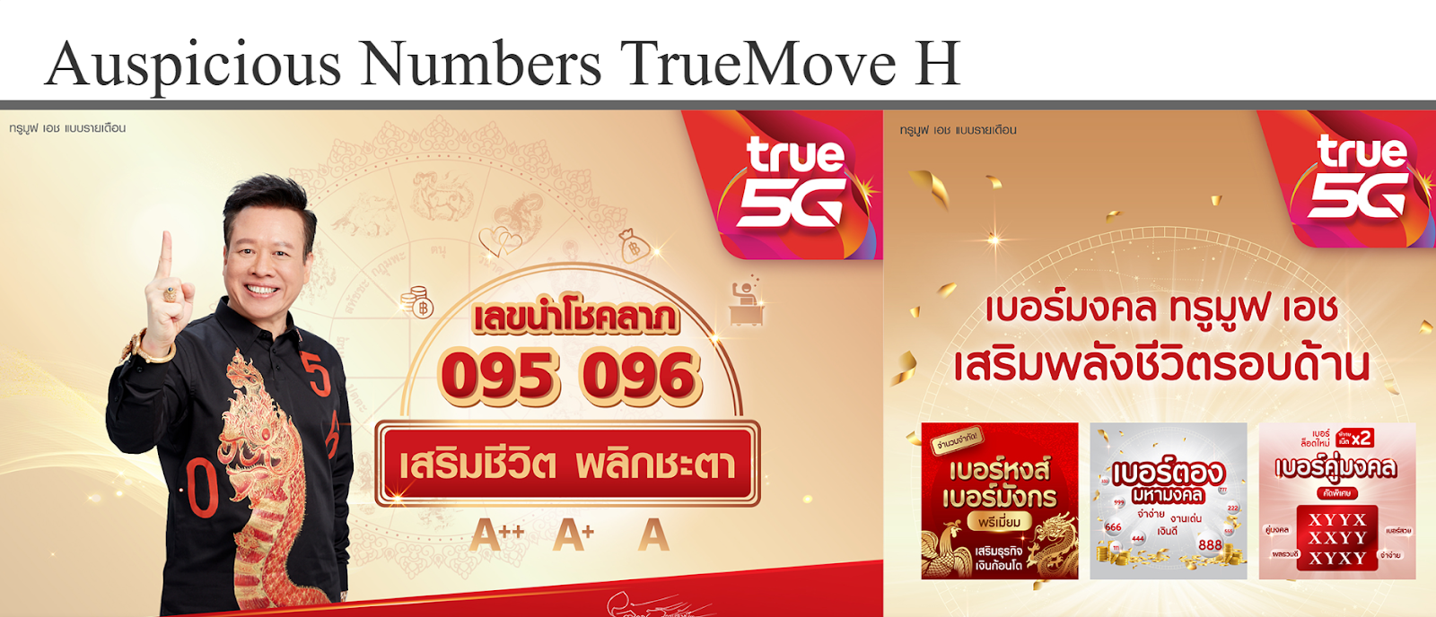 TrueMove H website snapshot highlighting the services it provides.