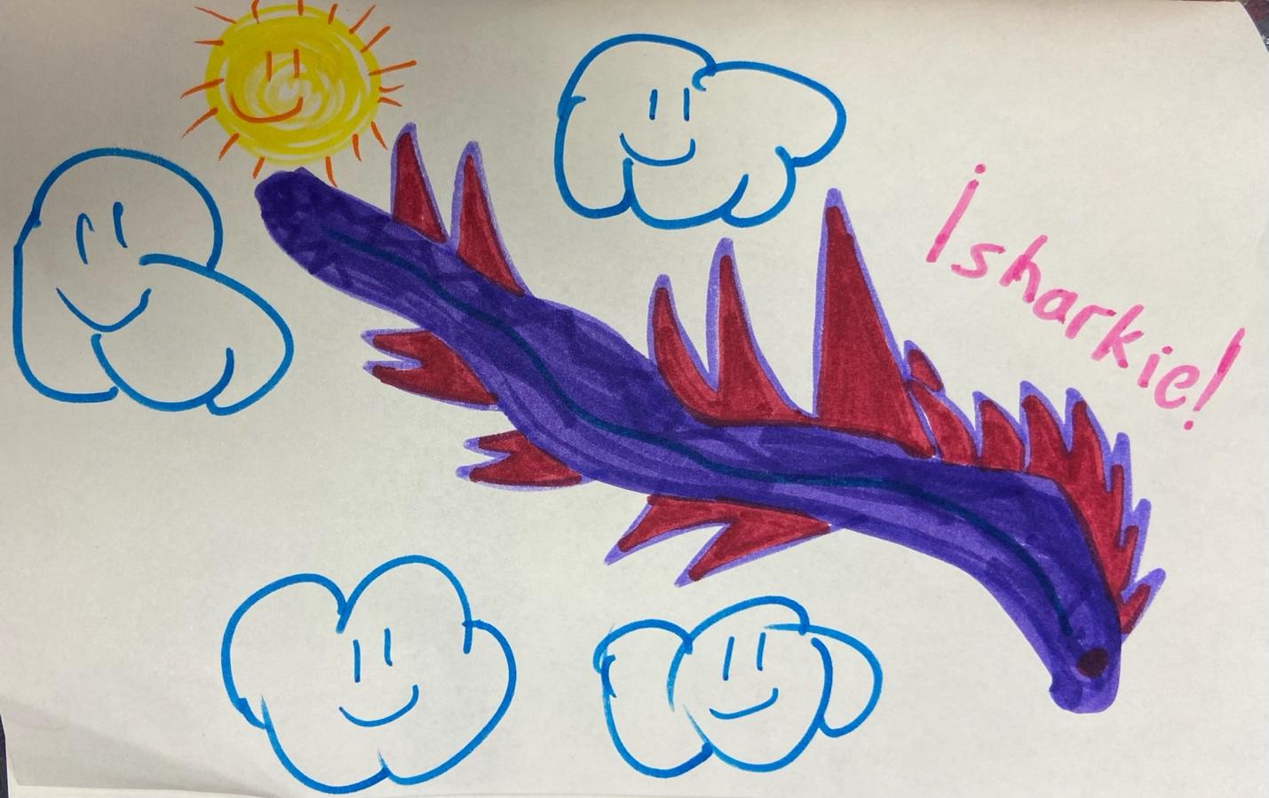 A drawing of a dragon and clouds

Description automatically generated