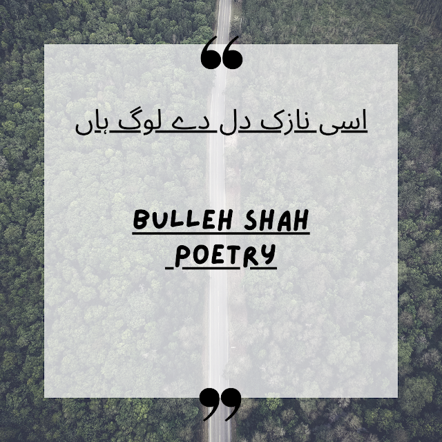 BULLEH SHAH POETRY