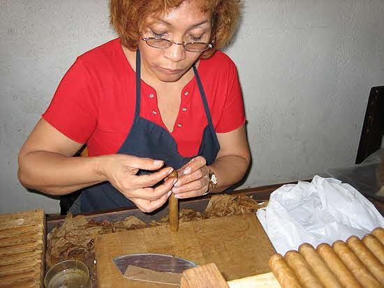 Little Havana The Art of Cigar Rolling